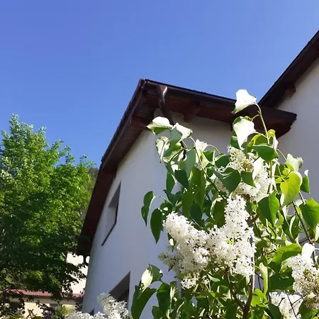 דירה R-house *